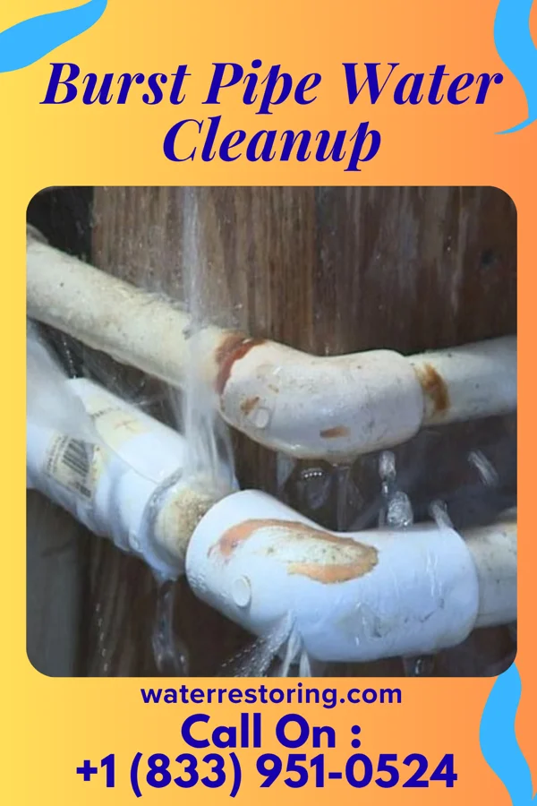 Burst Pipe Water Cleanup in Leisure Lake, MO