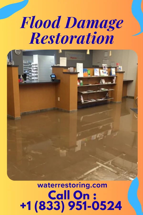 Flood Damage Restoration in Leisure Lake, MO