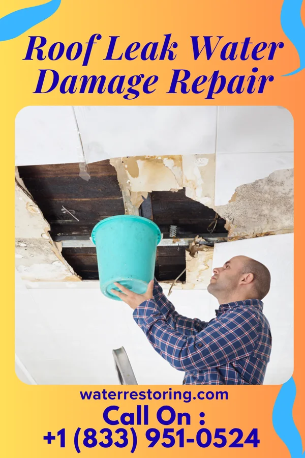 Roof Leak Water Damage Repair in Leisure Lake, MO