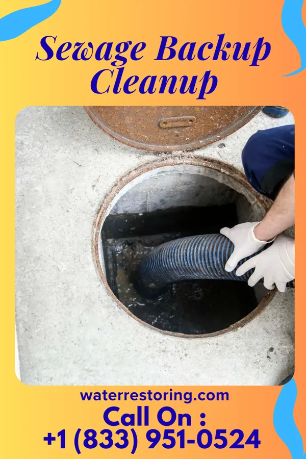 Sewage Backup Cleanup in Leisure Lake, MO