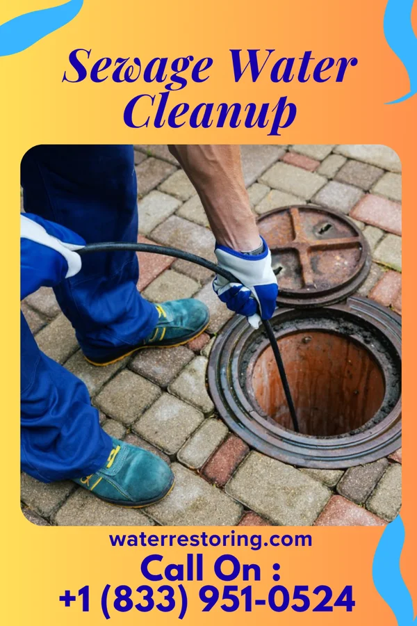 Sewage Water Cleanup in Leisure Lake, MO